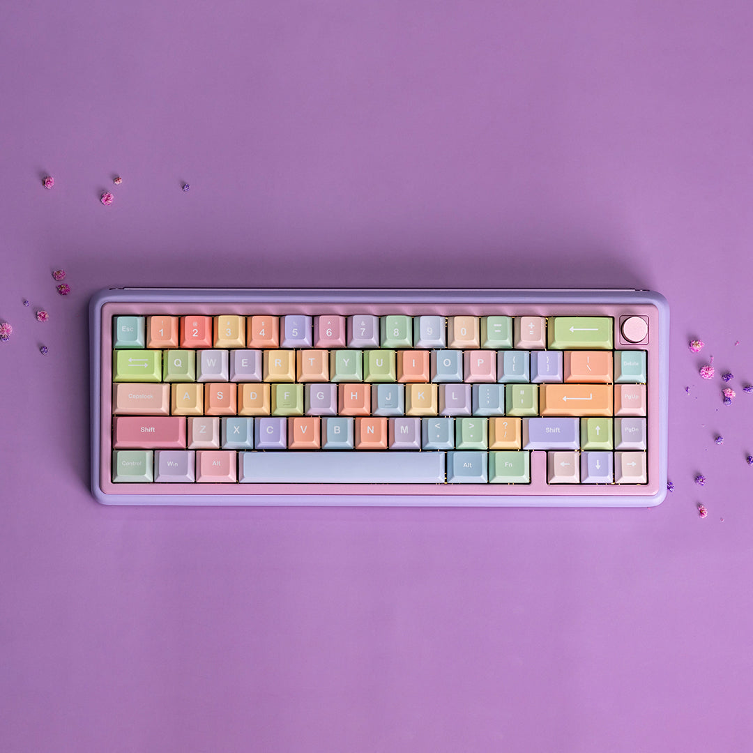 Paw 65 Assembled Edition – Chilkey