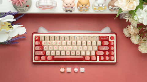 [In-Stock] Paw 65 Assembled Edition