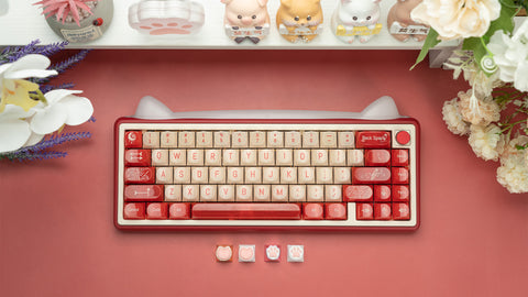 [In Stock] Paw 65 Assembled Edition