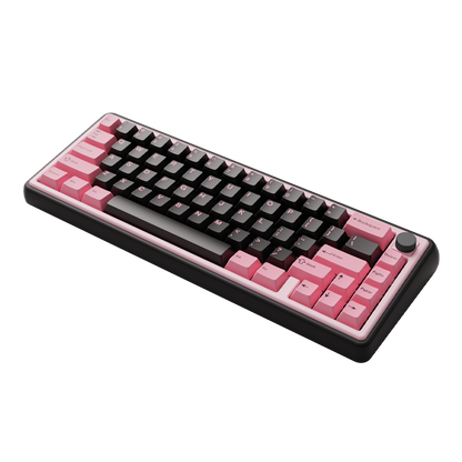 Foxy 65 Assembled Edition（U.S. shipping only）