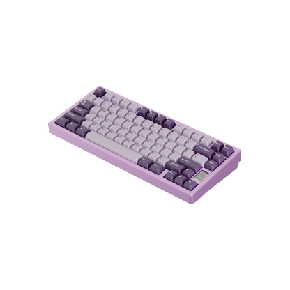 ND75 Keyboard Assembled Edition