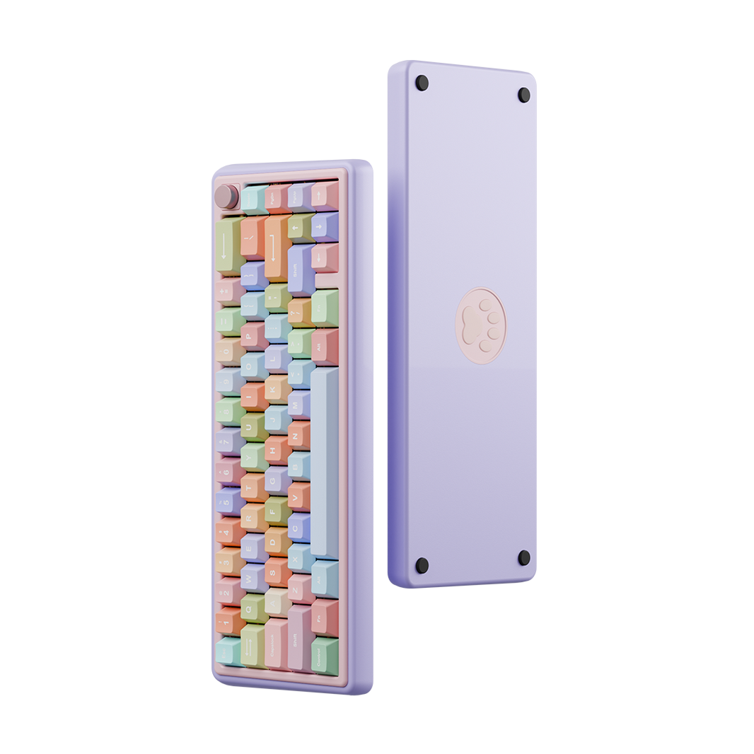 🎁 Paw 65 Assembled Edition (100% off)