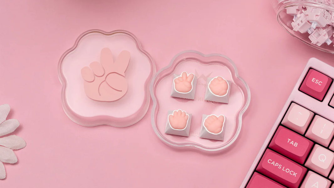 🎁 Christmas Gifts (100% off)