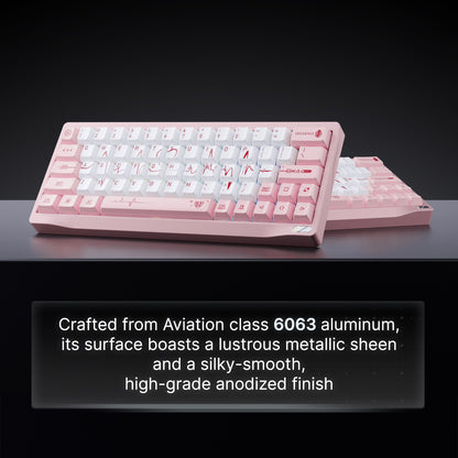SF60 HE Keyboard