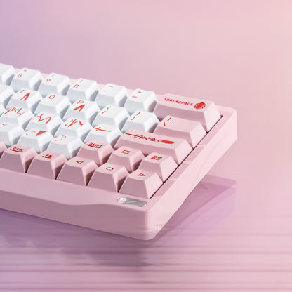 SF60 HE Keyboard